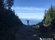 雷速-岭东雪豹队鏖战东城暴熊队，板球预选赛险胜，核心复出即建功。传控打穿防线(雪豹突击队和蛟龙突击队哪个厉害)